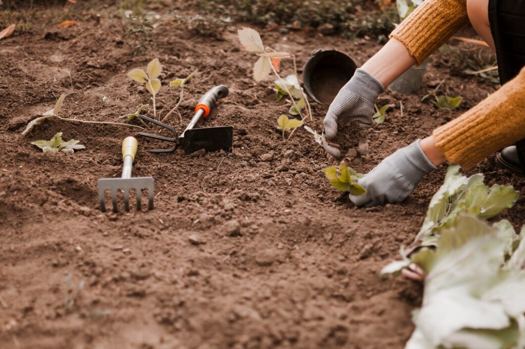 Soil Improvement